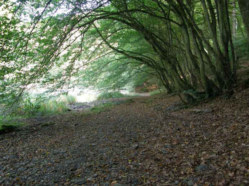 photo 4 promenade  Ourthe Nadrin Houffalize